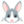 :rabbit: