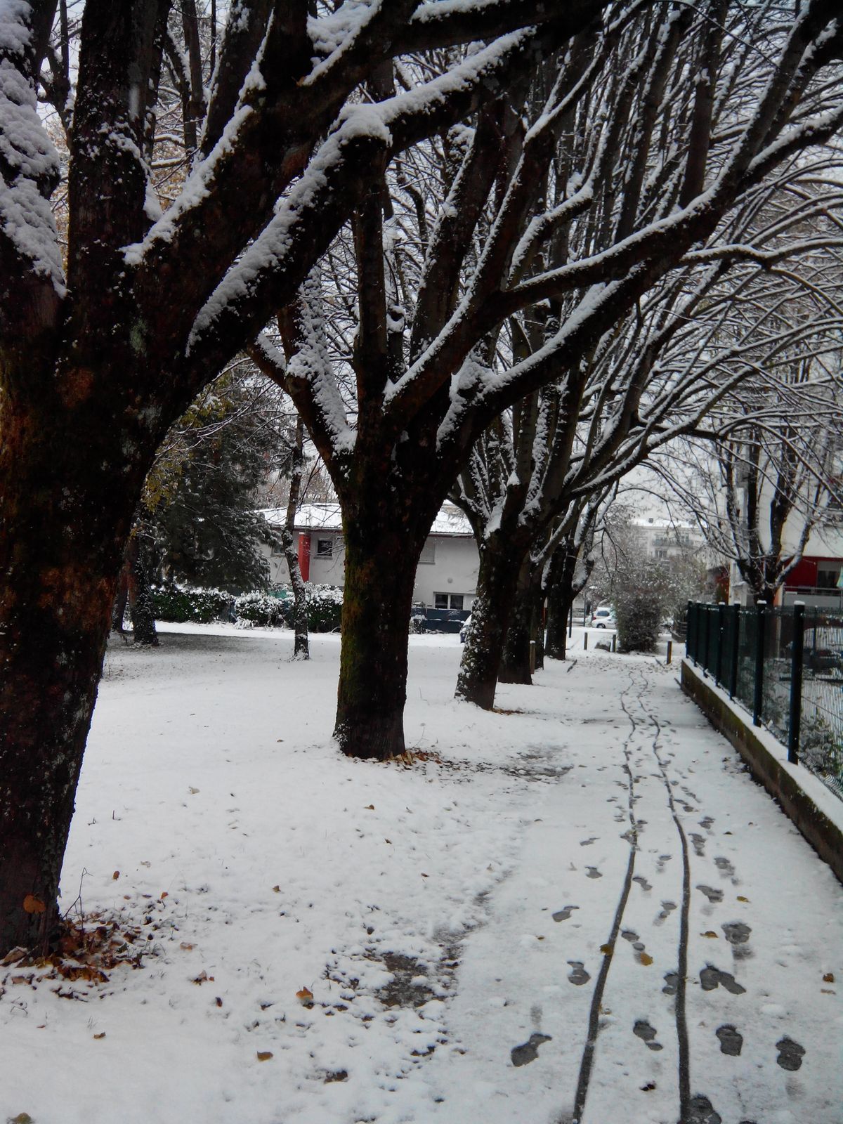 Réveil sous la neige 