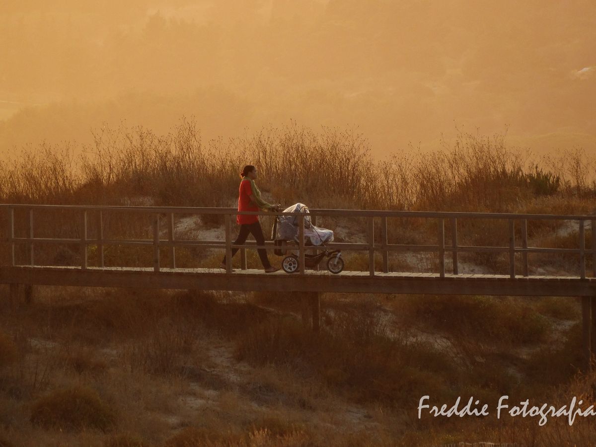 O passeio ao entardecer...