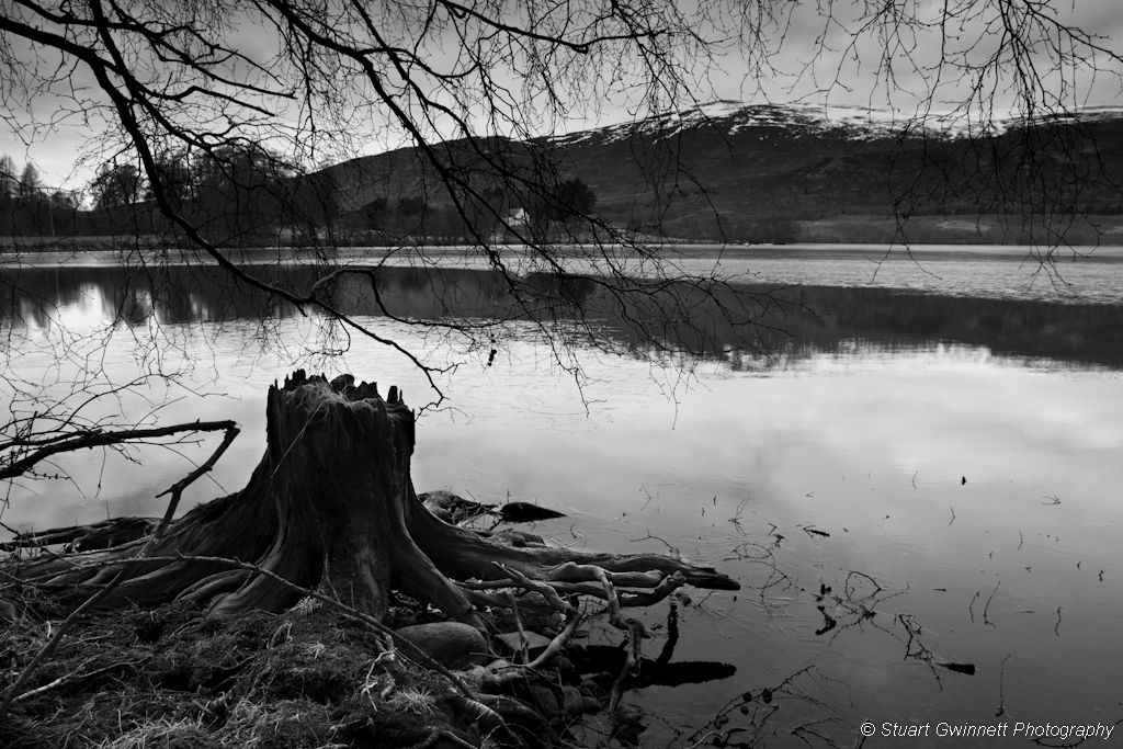 View across Loch Alvie, Scotland