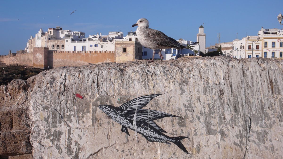 Balade sur le port d'Essaouira, Mars 2014