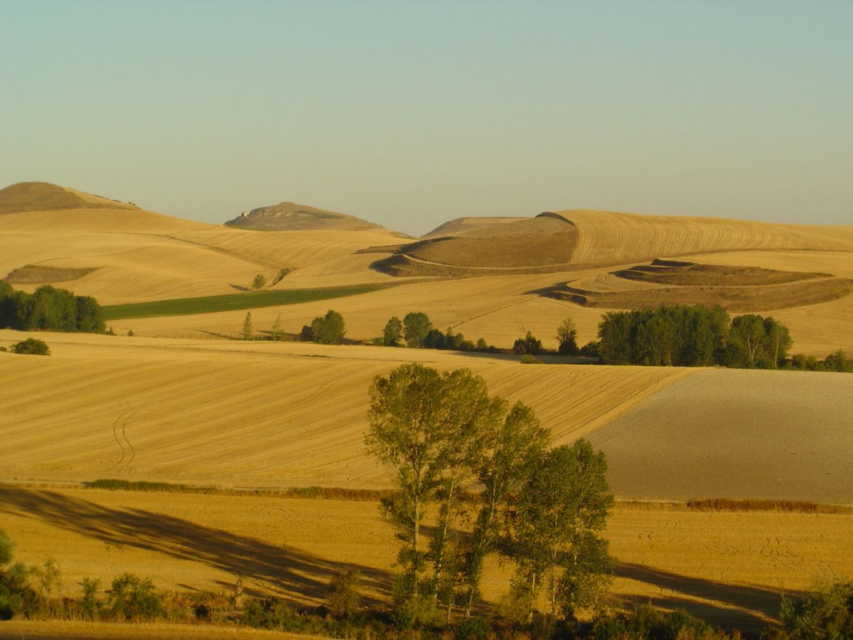 castilla en agosto Cyber Shot DSC P10