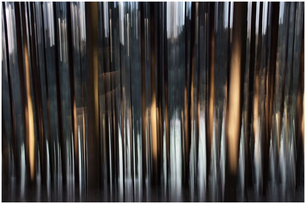 Das war mal ein spontaner Versuch eines Wischers im Wald. 
Alpha 77, ISO 50, f5.6, 1/5s, freihand ;)
Unterwegs mit der Alpha 77.