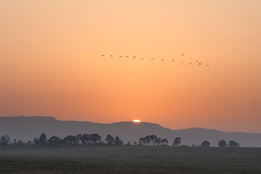 Aufgenommen am Lake Nakuru, Kenya. Die Sonne schaut gerade über die Bergspitzen.
