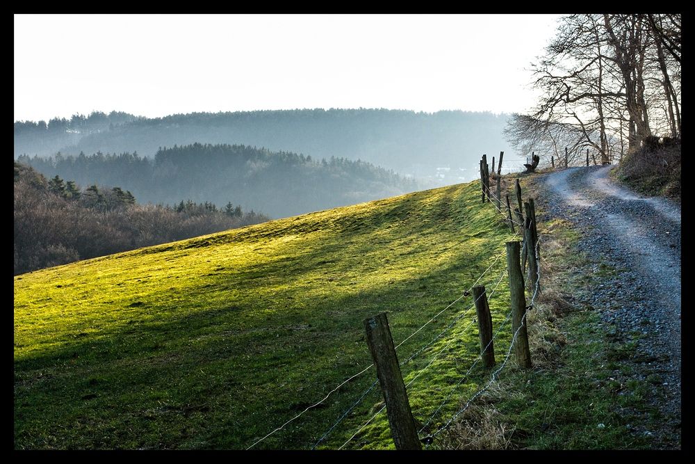 Bei dieser Aufnahme gefiel mir das Licht und der leichte Nebel. Ich hätte gerne den Weg in seine vollen Gänze rechts beginnen lassen, dann fehlte aber der sonnige Teil der Wiese. Hier erweist sich der Crop-Faktor als Nachteil. 
Alpha 77 + SAL-2470Z.
Unterwegs mit der Alpha 77.