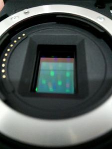 image.jpeg