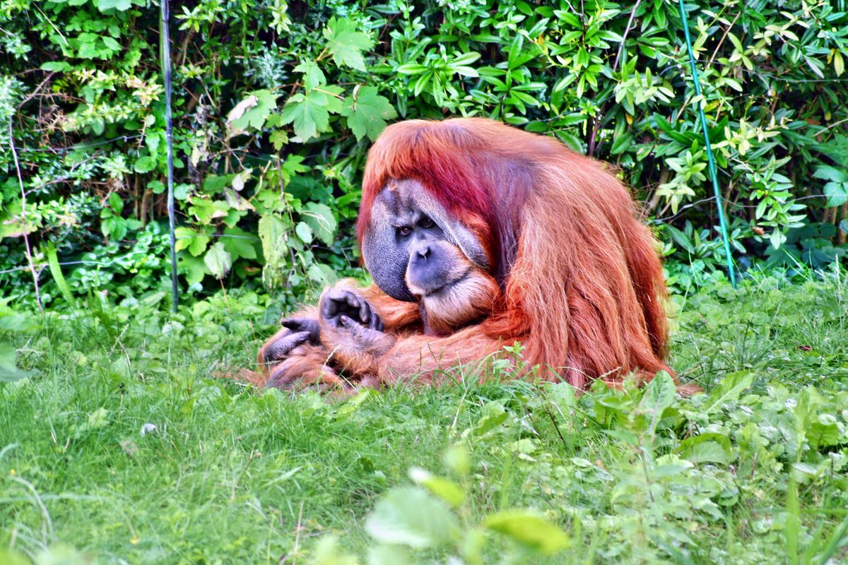 can I help? Let us talk