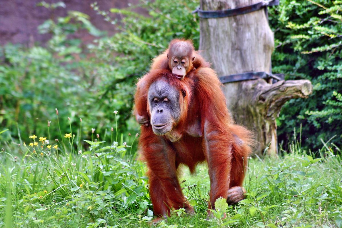 that´s from you........