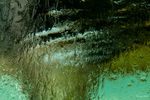 swirl-2.jpg