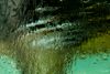 swirl-2.jpg