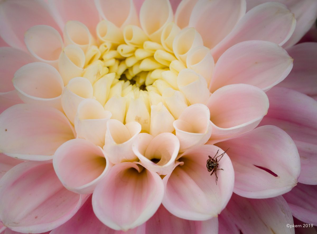 insektenhotel.jpg