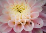 insektenhotel.jpg