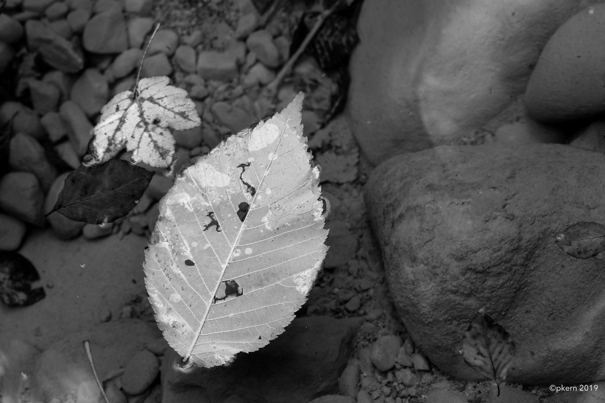Herbst geht auch ohne bunt....