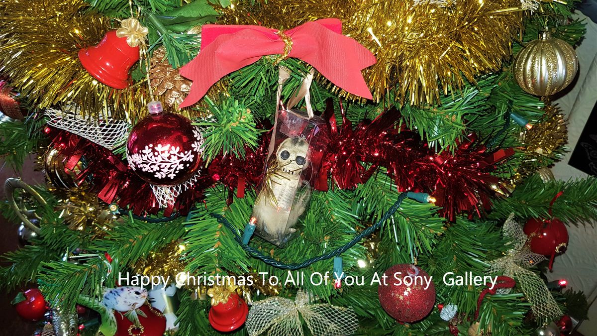 Happy Christmas to all sony gallery members  FromSteve