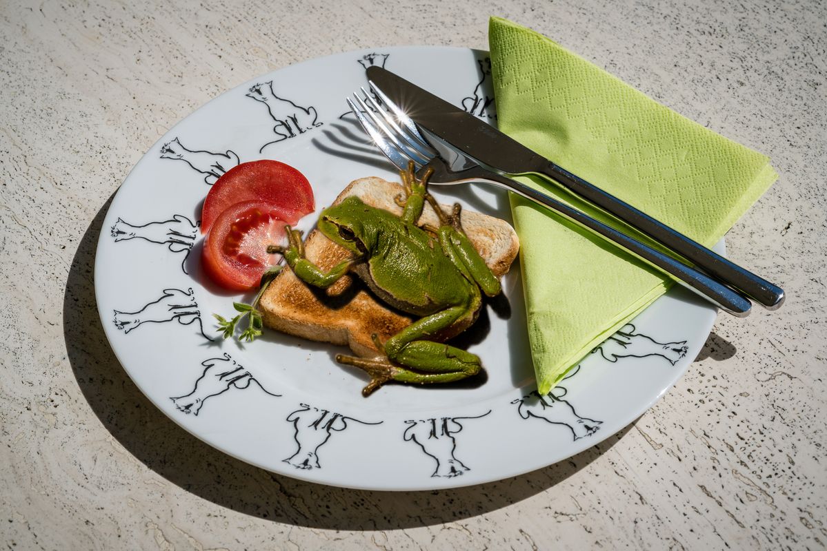 Bon appetit!