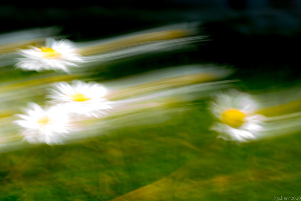 ...verwischte Bilder