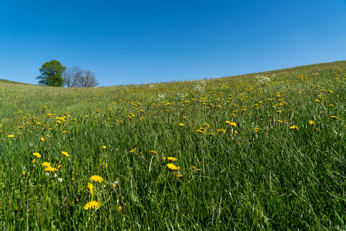 einfach Natur