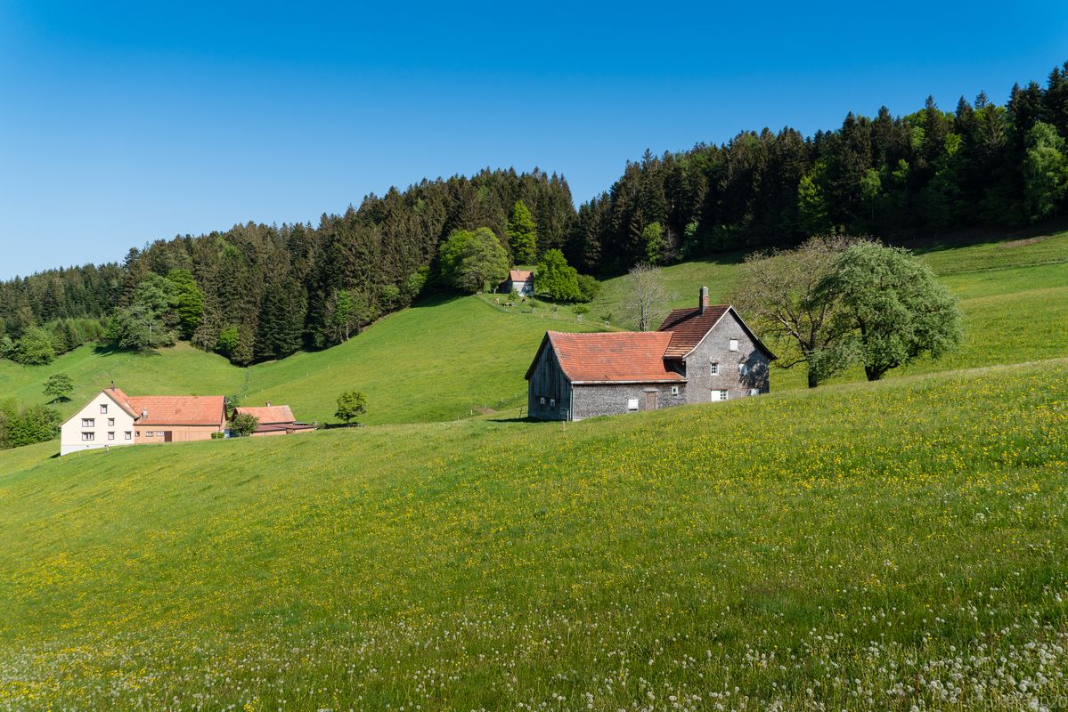 Hoch über dem Bodensee bei  Walzenhausen, Lachen, Appenzell Ausserrhoden