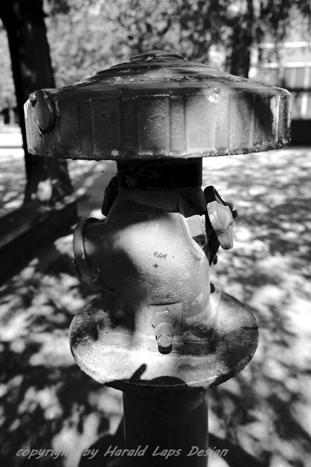 Hydrant