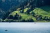 kleine heile Welt für alle die es brauchen - danach gibt es wieder "normale" Fotos