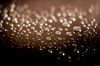 Drops...