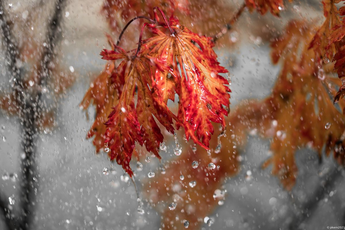 Herbstwasser (1 von 1).jpg