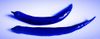 blau (1 von 1)-2.jpg