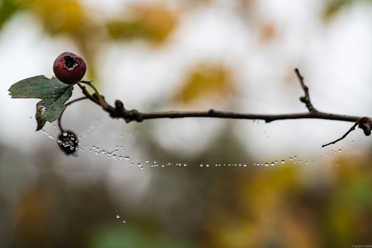 1/160 sec. bei f.6.3, 90 mm, ISO 400