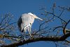 1/200 sek. f.8.0, 240mm, ISO 80,