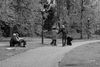 Sonntags beim Boule oder Boccia Spiel