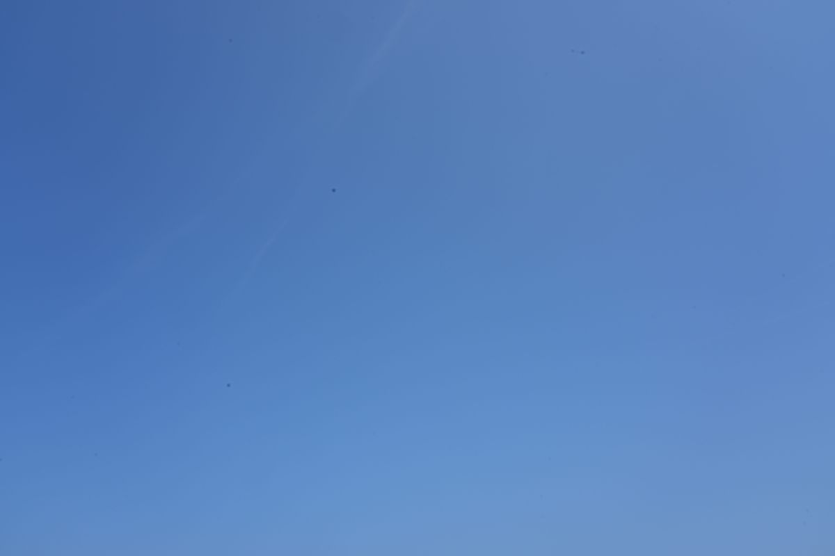 DSC00382.jpg DSC00382.jpg