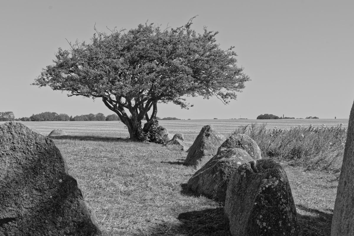 Überreste neolithischer Großsteingräber bei Goor, Rügen