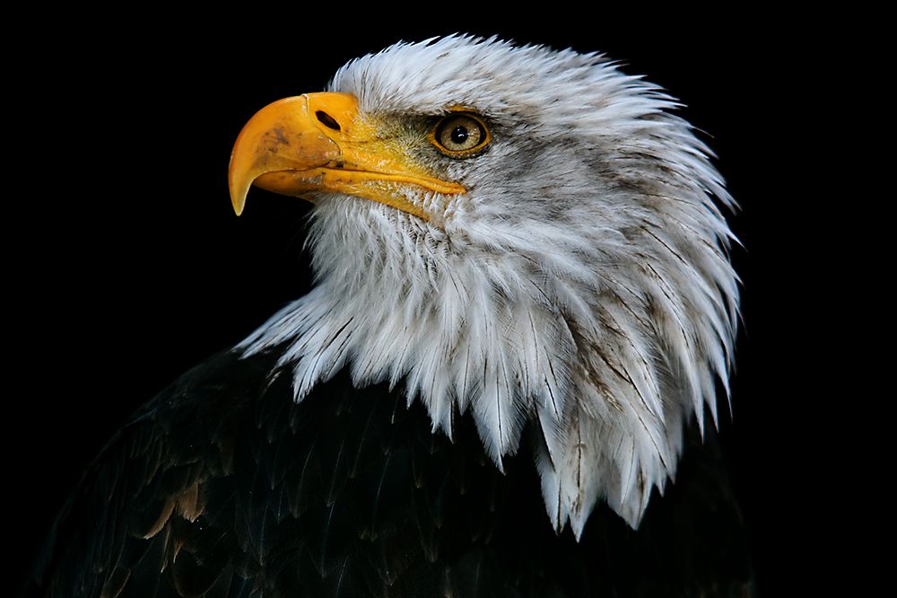 Aufgenommen in Hellenthal in der Eifel.