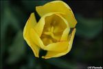 25053